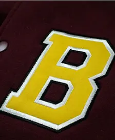 Appliqué Embroidery